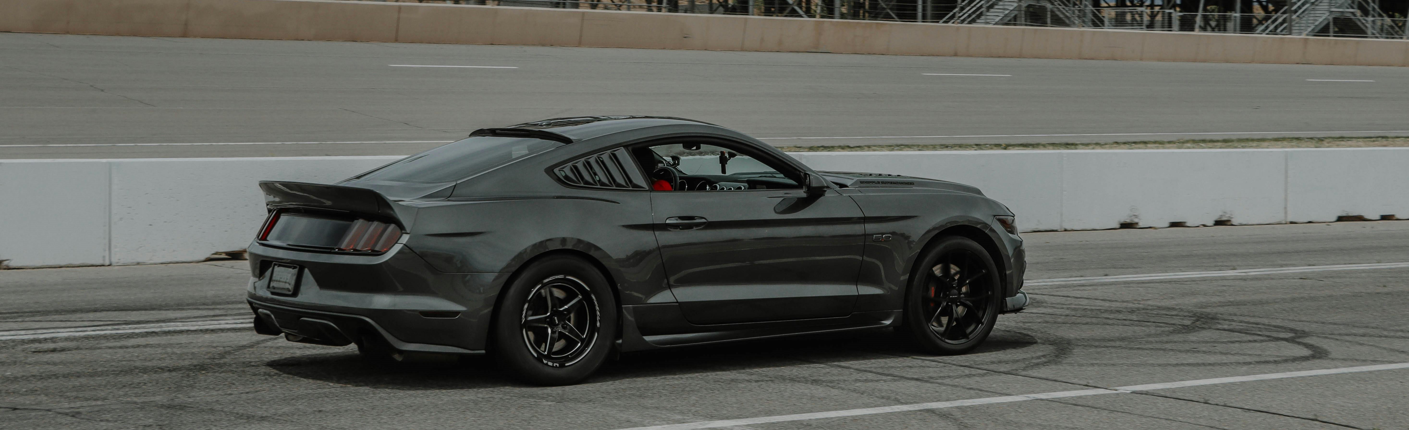 Mustang